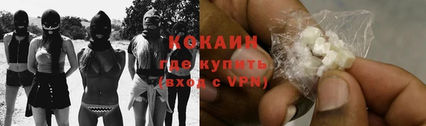 первитин Няндома
