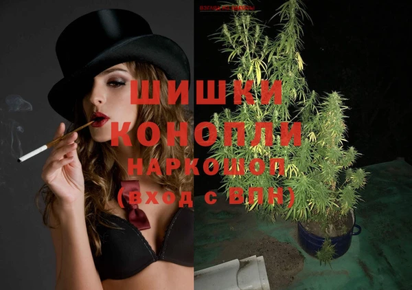 первитин Няндома