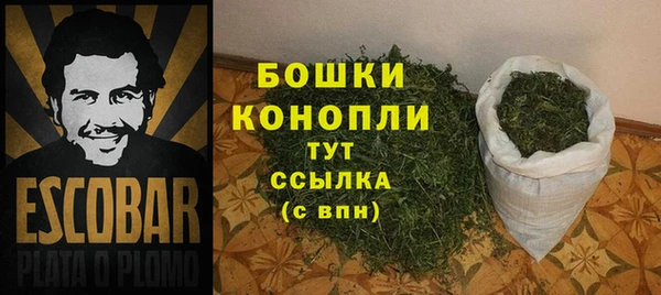 первитин Няндома
