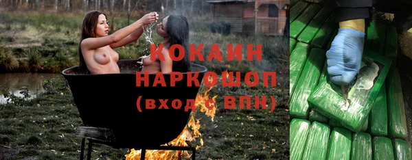 первитин Няндома