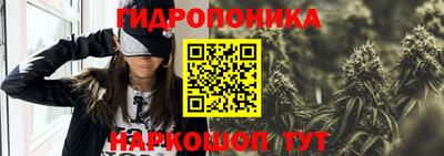 СК Аргун